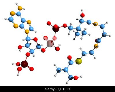 3D immagine di 3-idrossiisobutirril-CoA formula scheletrica - struttura chimica molecolare di intermedio nel metabolismo della valina isolata su bac bianco Foto Stock