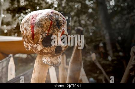 Impalata la parte superiore dello scheletro di un cranio umano su un palo di legno con striature rosse di vernice o di sangue Foto Stock