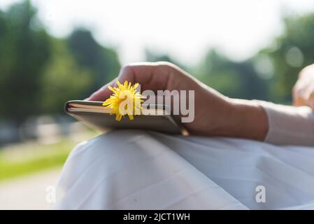 Mano della donna che tiene un fiore giallo in un diario, fuoco selettivo.concetto di spensierato. Foto Stock