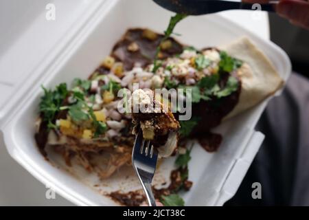 Carnitas messicane enchilada aka carne enchilada - un impacco riempito di maiale tirato, risata, fagioli e verdure condite con salsa talpa di talpa speziata, verdure ecc. Foto Stock