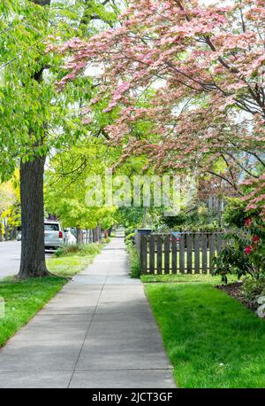 Grazioso e pittoresco quartiere residenziale di Ashland, Oregon. Piccola città nel Pacifico nord-occidentale, Oregon meridionale, Stati Uniti. Foto Stock