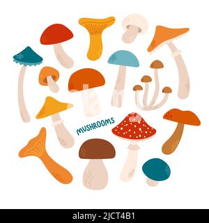 Funghi Set design piatto e illustrazione vettoriale Illustrazione Vettoriale