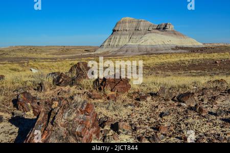 I tronchi di alberi pietrificati, cristalli multicolore di minerali. Parco nazionale della Foresta pietrificata, Arizona Foto Stock