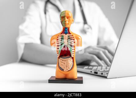 studio del modello umano 3d con organi interni. Concetto di controllo online medico. Foto di alta qualità Foto Stock