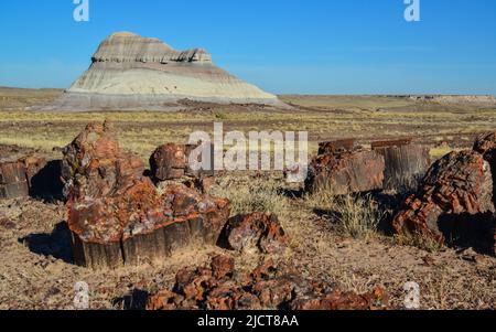 I tronchi di alberi pietrificati, cristalli multicolore di minerali. Parco nazionale della Foresta pietrificata, Arizona Foto Stock