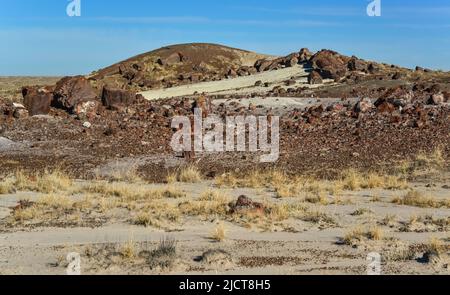 I tronchi di alberi pietrificati, cristalli multicolore di minerali. Parco nazionale della Foresta pietrificata, Arizona Foto Stock