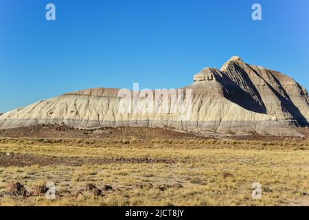 I tronchi di alberi pietrificati, cristalli multicolore di minerali. Parco nazionale della Foresta pietrificata, Arizona Foto Stock