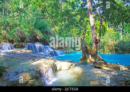 Splendida cascata idilliaca a cascata solitaria tropicale, piscina d'acqua isolata blu turchese, giungla verde della foresta - Kuang si, Luang Praban Foto Stock