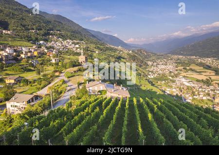 Veduta aerea del paesaggio della Valtellina con i suoi vigneti, Grumello, Lombardia. Foto Stock