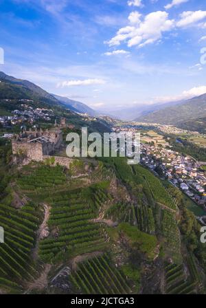 Veduta aerea panoramica del paesaggio della Valtellina con i suoi vigneti, Grumello, Lombardia. Foto Stock
