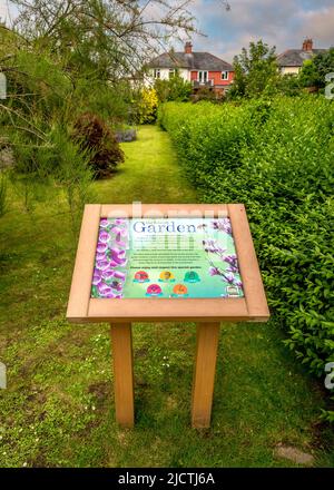 Giardino sensoriale a Bailey Park, Abergavenny, Galles. Foto Stock