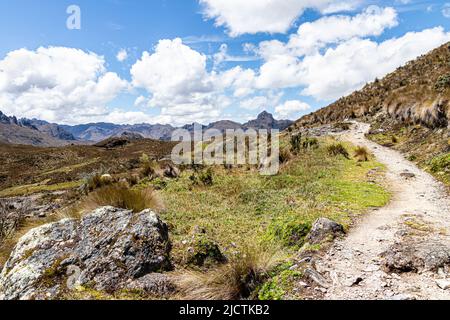 Sentiero escursionistico attraverso il paramo nel Parco Nazionale Cajas, zona ricreativa di Toreadora. Sud America, Ecuador, provincia di Azuay vicino a Cuenca Foto Stock