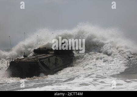 US Marine Corps AAV batte il surf. Foto Stock