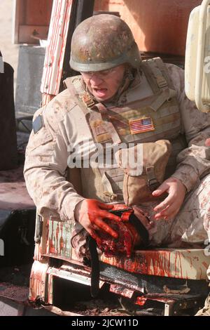 Un giocatore di ruolo civile agisce come un incidente ferito simulato per i marines degli Stati Uniti con la sede centrale & l'azienda di servizio, 1st Battaglione, 8th Regiment marino ( Foto Stock