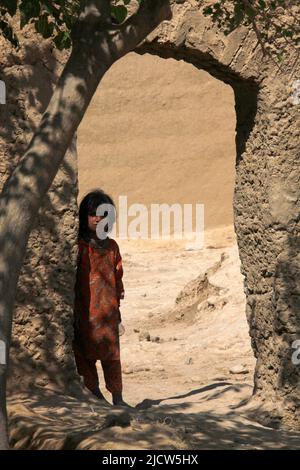 Un bambino afghano locale apre una porta per vedere cosa stanno facendo i marines degli Stati Uniti con 1st battaglione, 8th Regiment Marino, la squadra di combattimento regimentale 6 Foto Stock