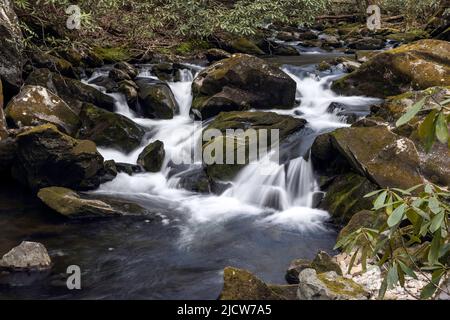 Paesaggio a cascata dal Middle Prong Trail nel Great Smoky Mountain National Park Foto Stock