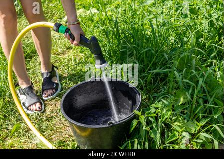 Donna che raccoglie l'acqua in un secchio da un tubo. L'acqua viene prelevata da un tubo flessibile. Foto Stock