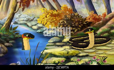 Due dadi serpenti (Natrix tessellata) sull'acqua e sulla sponda del fiume. La pittura digitale in stile cartone animato a colori completa illustrazione. Foto Stock