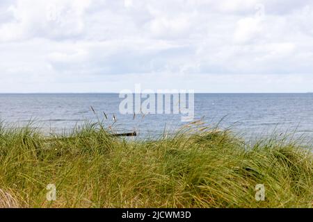 La vista sulle dune del Mar Baltico nella piccola località balneare di Zempin in estate Foto Stock