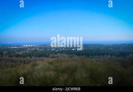 Vista da una passerella sulla cima di un albero con il Colosso di Prora sullo sfondo Foto Stock