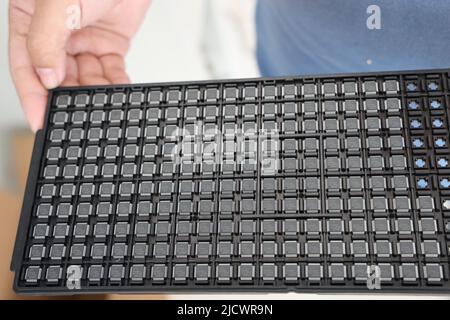 BINZHOU, CINA - 16 GIUGNO 2022 - Un tecnico mostra un chip controller utilizzato nella produzione di schede a circuito integrato presso Black Dot Electro Foto Stock