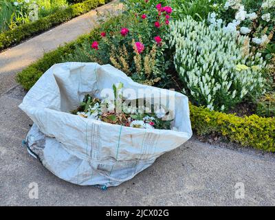 Riciclaggio rifiuti da giardino, sacchi in giardino Foto Stock
