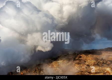 Fire n`Ice - isola vivere erlebt ! Eindrücke meiner Islandreise im August 2019.Hier das Hochtemperaturgebiet Gunnuhver auf der Halbinsel Reykjanes. Foto Stock