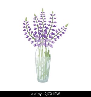 Illustrazione vettoriale di un vaso di vetro con un bouquet di lupini. Illustrazione Vettoriale