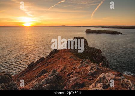 Ora d'oro alle scogliere di Predannack vicino a Mullion sulla penisola di Lizard nella Cornovaglia Occidentale Foto Stock