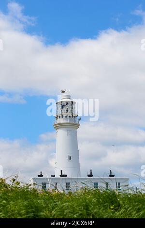 Faro di New Flamborough, Flamborough Head, Yorkshire, Inghilterra, Regno Unito, Europa Foto Stock