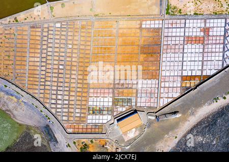 Stagni di evaporazione di Salinas del Carmen piani salati dall'alto, vista aerea, Fuerteventura, Isole Canarie, Spagna, Atlantico, Europa Foto Stock