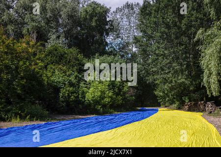 Kiev, Ucraina. 15th giugno 2022. Gli attivisti hanno scatenato una grande bandiera Ucraina nel parco di Kyiv. Credit: SOPA Images Limited/Alamy Live News Foto Stock