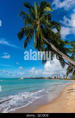 Palm fringed Beach, Maceio, Alagoas, Brasile, Sud America Foto Stock