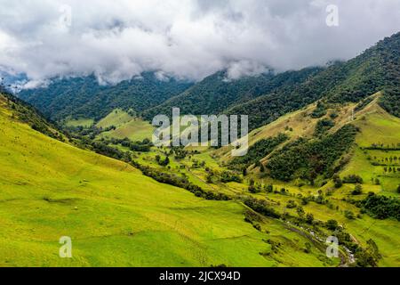 Antenna della Valle di Cocora, patrimonio dell'umanità dell'UNESCO, Paesaggio culturale del caffè, Salento, Colombia, Sud America Foto Stock