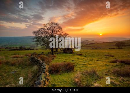 Tramonto con granaio derelitto a Roach End, The Roaches, Peak District, Staffordshire, Inghilterra, Regno Unito, Europa Foto Stock