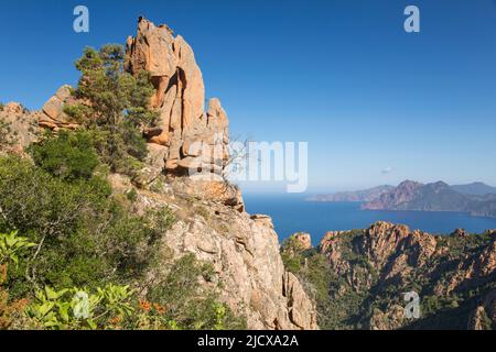 Vista sulle rocce rosse delle Calanques (Calanche) fino al Golfo di Porto, Patrimonio dell'Umanità dell'UNESCO, piana, Corse-du-Sud, Corsica, Francia Foto Stock