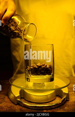 Il barista versa i chicchi di caffè freschi sulla bilancia da cucina vista ravvicinata Foto Stock