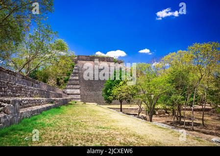 Uxmal, Messico. Grande Piramide di Uxmal, antica città Maya nella giungla della penisola dello Yucatan Foto Stock