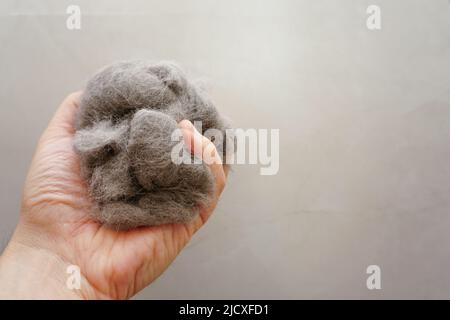 Mucchio di pelliccia di gatto pettinato da scottish fold gatto vista ravvicinata Foto Stock
