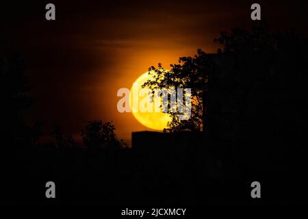 Foto di una grande luna piena gialla dietro un albero e di una silhouette di costruzione, scattata il 14 giugno 2022 a Praga, Repubblica Ceca. Foto Stock