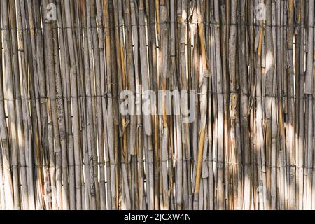 Lo sfondo da vecchie canne di bambù, legno texture Foto stock - Alamy