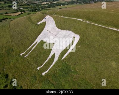 Westbury White Horse Chalk Hill figura. Castello di Bratton. Wessex Ridgeway percorso preistorico a lunga distanza. Bratton Downs. Wiltshire. Inghilterra. REGNO UNITO Foto Stock