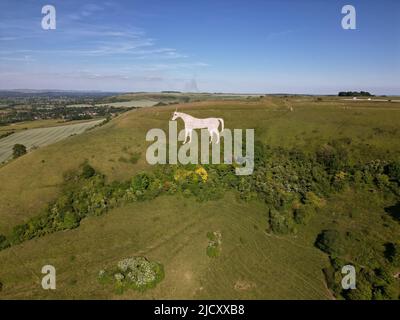 Westbury White Horse Chalk Hill figura. Castello di Bratton. Wessex Ridgeway percorso preistorico a lunga distanza. Bratton Downs. Wiltshire. Inghilterra. REGNO UNITO Foto Stock