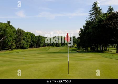 Vista su 18th Green su West Course con laghetto in background, Sundridge Park Golf Club, Bromley, Kent, Inghilterra Foto Stock