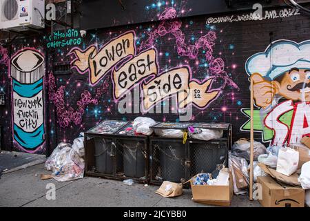 New York Fuckin City e Lower East Side graffiti murales di Dirt Cobain e Outer Source o Outer Source a New York City, Stati Uniti d'America Foto Stock