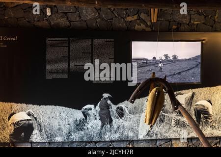 Imbracatura per un mulo o un cavallo come parte di una esposizione multimediale all'Eco Museum che mostra manufatti e mostre dello stile di vita agricolo e rurale Foto Stock