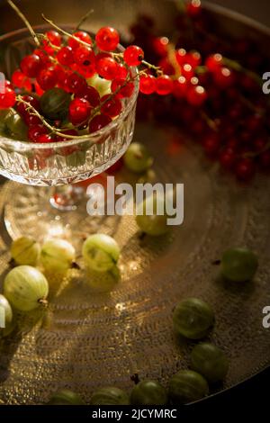 bacche e frutti freschi sul tavolo in un piatto: uva spina, ribes, limone, lime, arancia, albicocche. Un mix di frutti di bosco locali di stagione e li Foto Stock