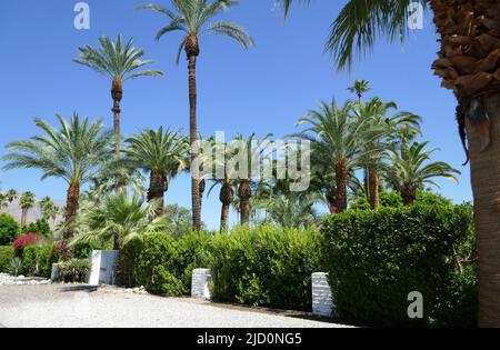 Palm Springs, California, USA 11th giugno 2022 una visione generale dell'atmosfera di Jim Bakker e Tammy Faye Bakker's ex Home a 688 Vereda sur il 11 giugno 2022 a Palm Springs, California, USA. Foto di Barry King/Alamy Stock Foto Foto Stock
