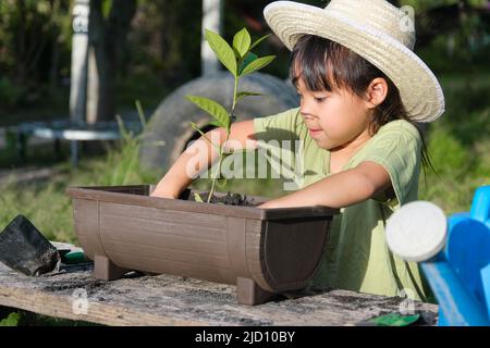 La bambina che indossa un cappello aiuta la madre nel giardino, un piccolo giardiniere. Cute ragazza piantando fiori in pentole per la vendita. Famiglia piccola impresa Foto Stock