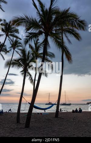 Tramonto sotto le palme a 'Anaeho'omalu Beach, Waikoloa, Big Island, Hawaii, Stati Uniti Foto Stock